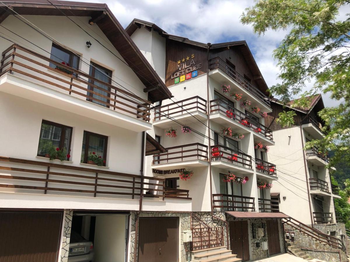 Vila Loft Cube Sinaia Exterior foto